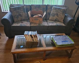 Couch, coffee table, furs