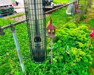 Many bird feeders here