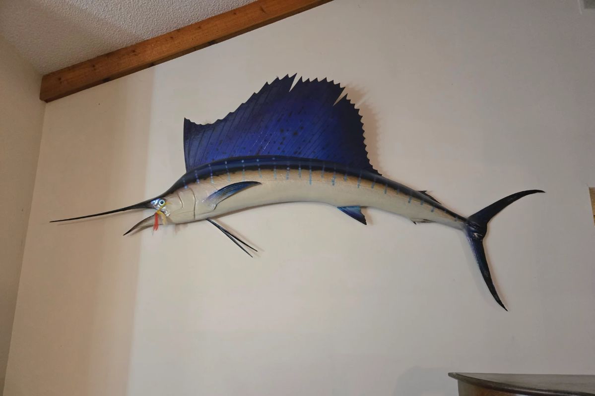 10ft sailfish