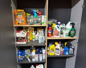 cabinet of lawn, garden, car supplies