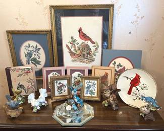 304 Bird Collection