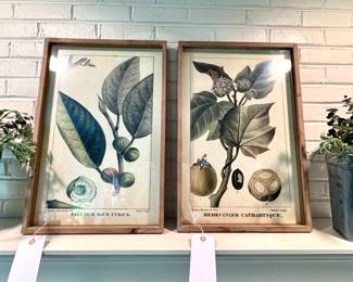 $68/each. Box frame, botanical wall art.