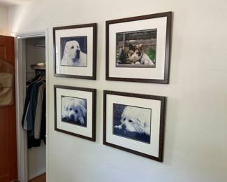 FRAMED DOG PHOTOS