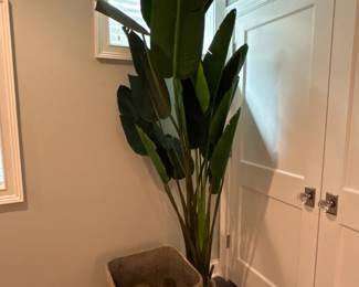 Cement Planter $195 Faux Plant $150