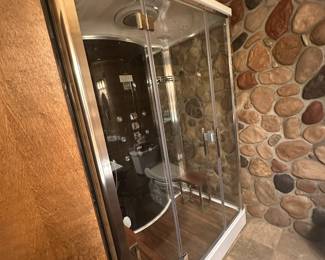 Ariel Platinum 2-person steam shower; like-new condition and consigned for another client off-site near Elk Rapids; please make an appointment to view in person.