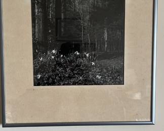 Photograph