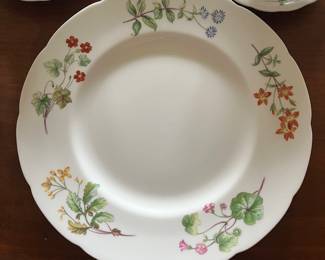 Partial Set of Minton China