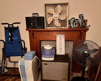 Den (air purifiers, fans, light fixtures, books, tchotchkes, space heaters, humidifiers, workout machinery, mobility aid equipment, etc.)