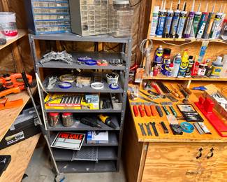 Workshop (Power tools, batteries, shop vacs, supplies for woodworking, painting, sanding, soldering, tool storage, lots and lots of hardware, and much more).