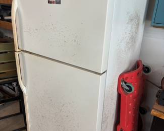 Kenmore refrigerator/freezer ‘98
Great for garage, ice cold. $200.00