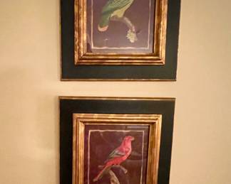 Two of 4 total framed art pieces portraying parrots