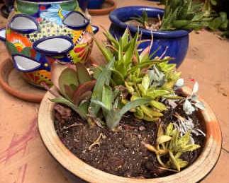 Talavera Strawberry Pot, Blue Glazed Pot With Succulent, Blue Aloe