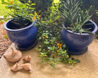 Glaze Blue Pots Gambel Quails