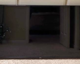 LG 49 Flatscreen TV