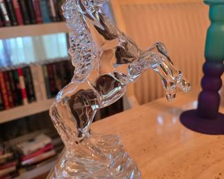 Waterford rearing horse