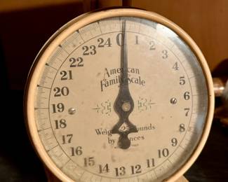 Vintage American Family Scale