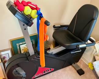 Exercise Bike - FitnessQuest Edge 491 and Hand weights