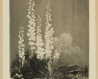 1263
George Elbert Burr
1859-1939
"Soapweed -- Arizona," circa 1930
Etching and aquatint on paper
Signed, titled, and inscribed in pencil in the lower margin: George Elbert Burr
Plate: 10" H x 7" W; Sight: 11" H x 8" W
Estimate: $300 - $500