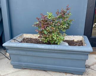 Planter