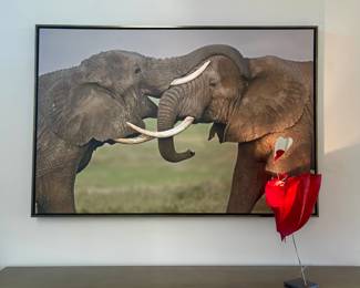 Elephants