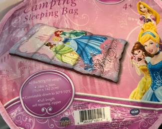 Disney Sleeping Bag