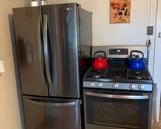 Side by side & Gas Stove