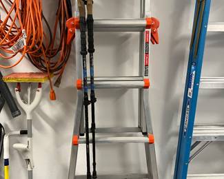 Little Giant Ladder Velocity , Werner Ladder