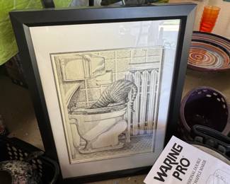 Kitty in the Toilet picture