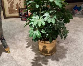 artificial plant