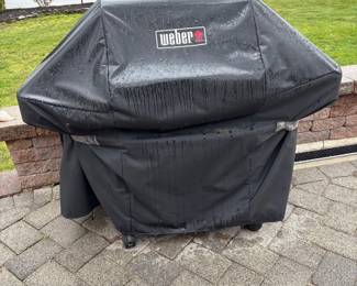 Weber Outdoor Grill