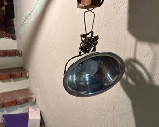 Reptile Heat Lamp