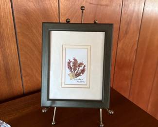 Pressed Seaweed Art