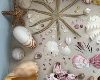 This home has seashells everywhere….The family has a home on Sanibel Island in Florida, and they’ve told me all of these shells were gathered from there!