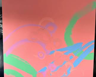 Artist Raye Levin Rosow