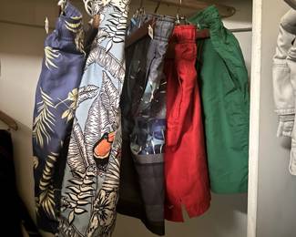 Men's Swim Trunks