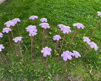 yard flowers
