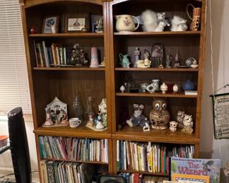 bookshelves, books, figurines/knickknacks