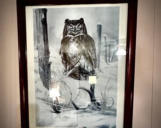 owl print