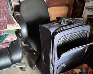 computer chairs, luggage, cleaners, Lafayette Leopards seat cushion