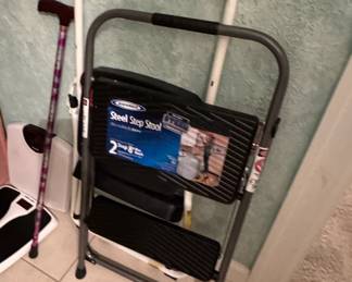 step ladders, cane
