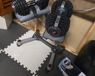 Bowflex weights