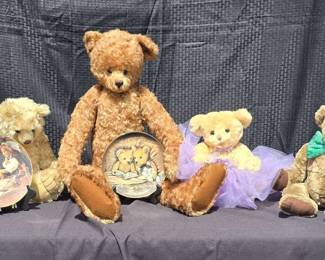 CT485VBears