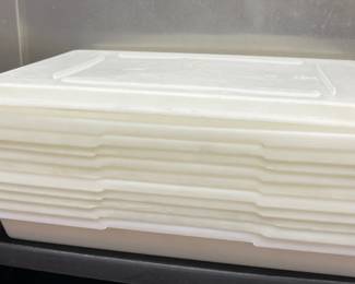 DBB515 - (10) 25” Plastic Food Storage Containers