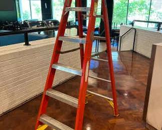DBB245- Werner Pro Series Ladder