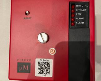 DBB257 - Forte Modular Micron Flame Safeguard Controls