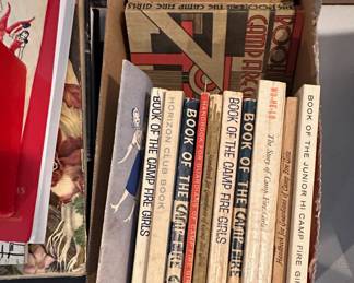 Camp Fire Girls and Bluebirds. There are several books, a few uniform pieces, a beaded clothing and other accessories.