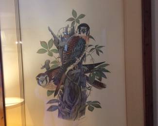 Falcons by Bob Connell signed