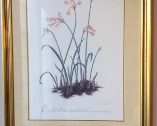 Thalia Lincoln signed art