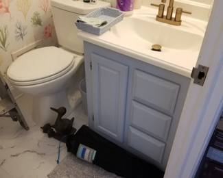 Updated rear flush commode; bath vanity