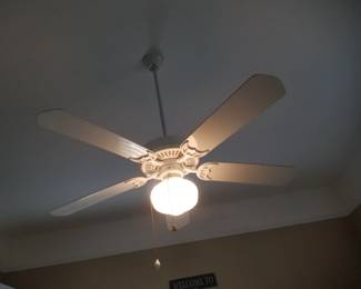 Illuminated ceiling fan